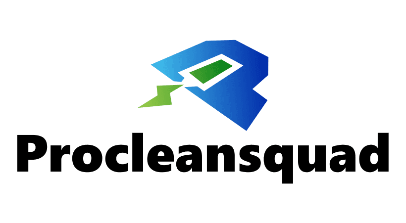procleansquad.com