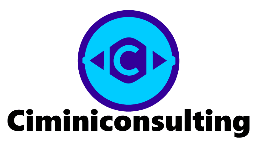 ciminiconsulting.com